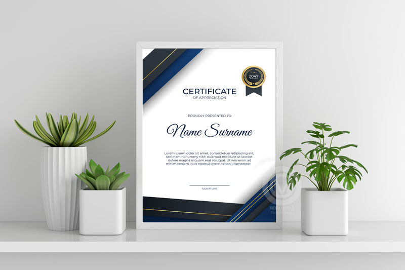 Các loại giấy chứng nhận spa phổ biến 22 cac loai giay chung nhan spa pho bien 66125618e136d