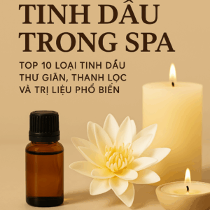 Top 10 Tinh Dầu Trong Spa Hay Sử Dụng