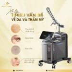 Máy Laser Nd Yag GL039 Premium - 03